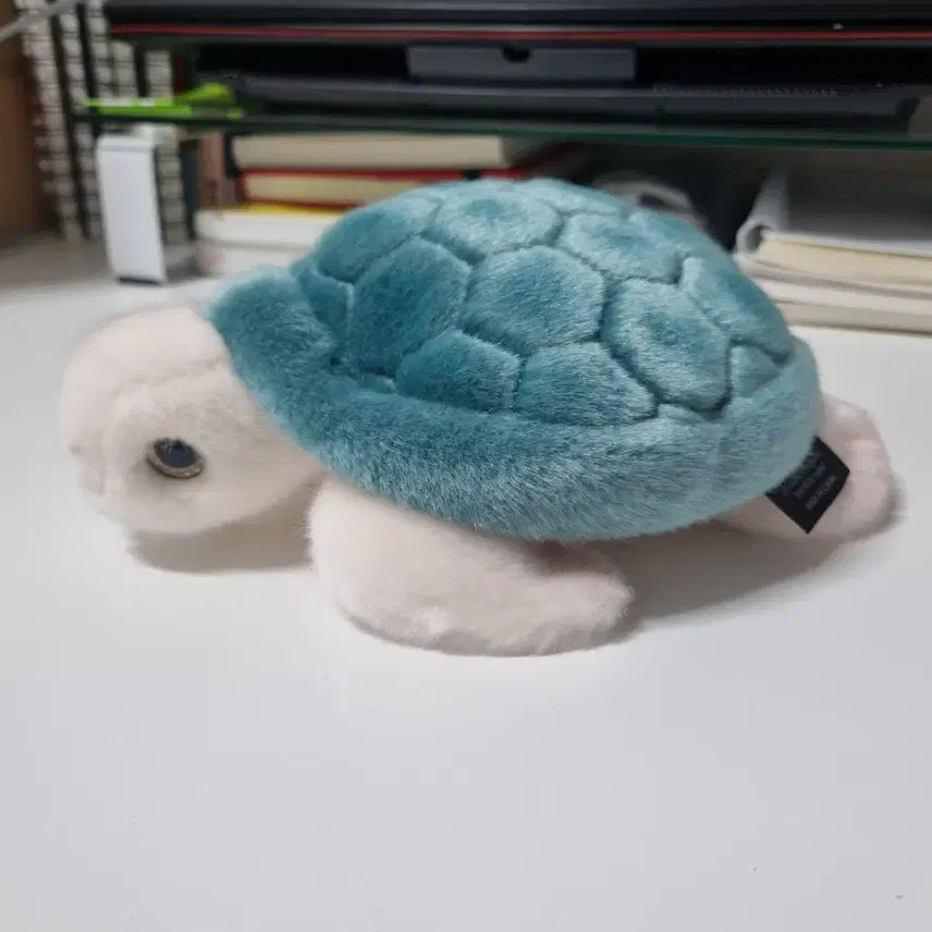 [BUNJANG] Turtle Plush Toy / 거북이 인형 판매