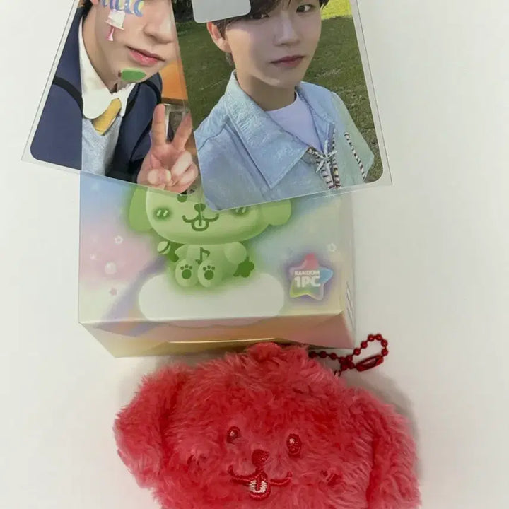 [BUNJANG] NCT WISH Jaehee Photocard, Color Weverse Wishdoll / 엔시티위시 NCT WISH 재희 포토카드, 컬러 위부부 위시돌 댕트리버