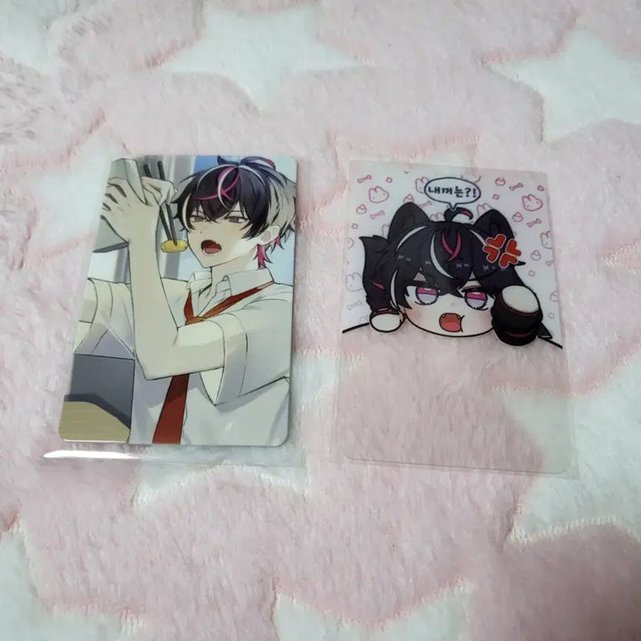 [BUNJANG] Adoz Namsiu Geumsuzu Photocard 2 Types Bundle Set / [일괄판매] 버튜버 남시우 금수즈 포카 2종