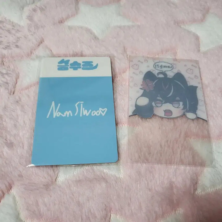 [BUNJANG] Adoz Namsiu Geumsuzu Photocard 2 Types Bundle Set / [일괄판매] 버튜버 남시우 금수즈 포카 2종
