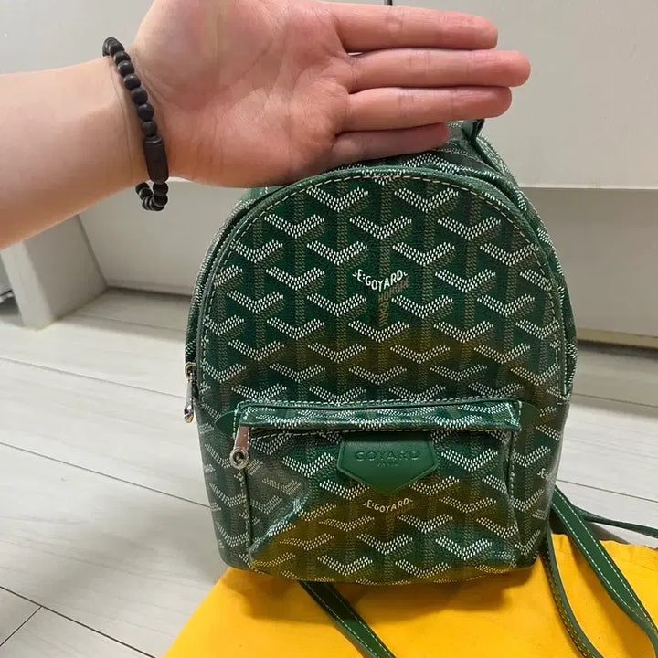 [BUNJANG] Goyard Mini Bag / 고야드 미니백