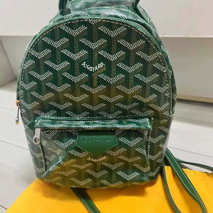 [BUNJANG] Goyard Mini Bag / 고야드 미니백