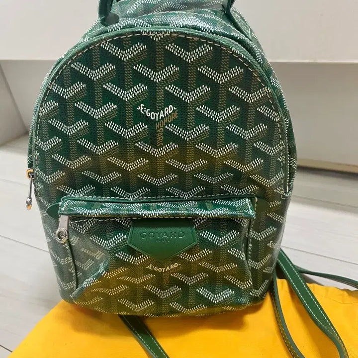 [BUNJANG] Goyard Mini Bag / 고야드 미니백
