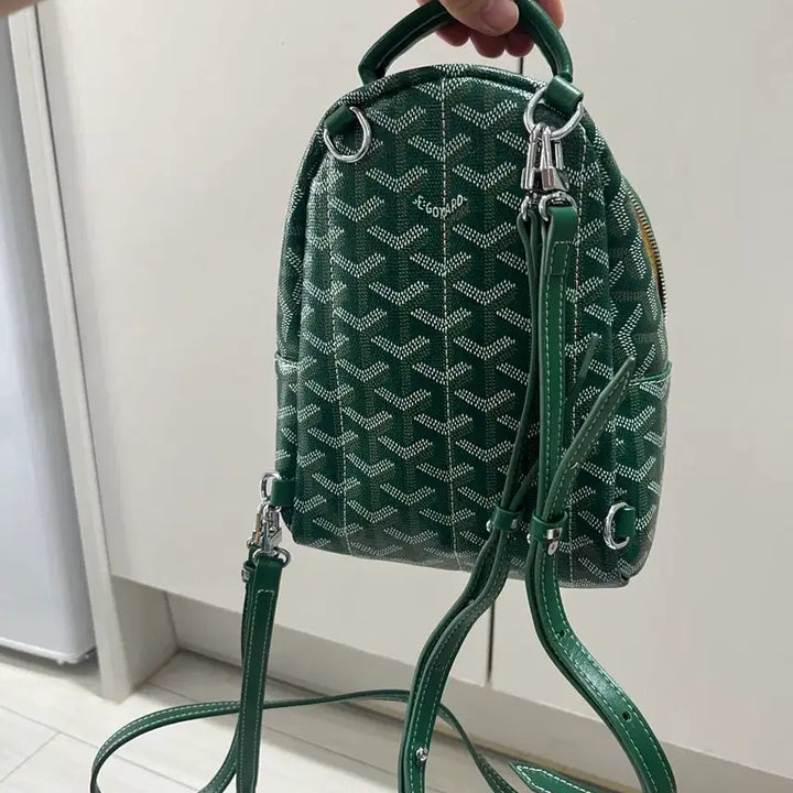 [BUNJANG] Goyard Mini Bag / 고야드 미니백
