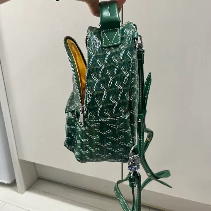 [BUNJANG] Goyard Mini Bag / 고야드 미니백