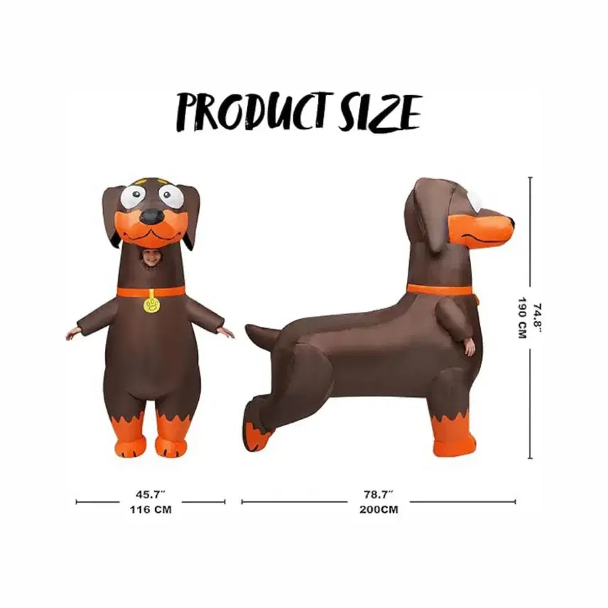 [SOLD OUT] 졸업사진 닥스훈트 강아지 에어슈트 대여