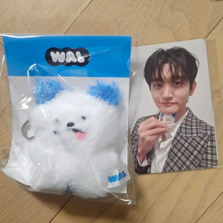 [SOLD OUT] 왈이키링+원상포카 판매합니다!