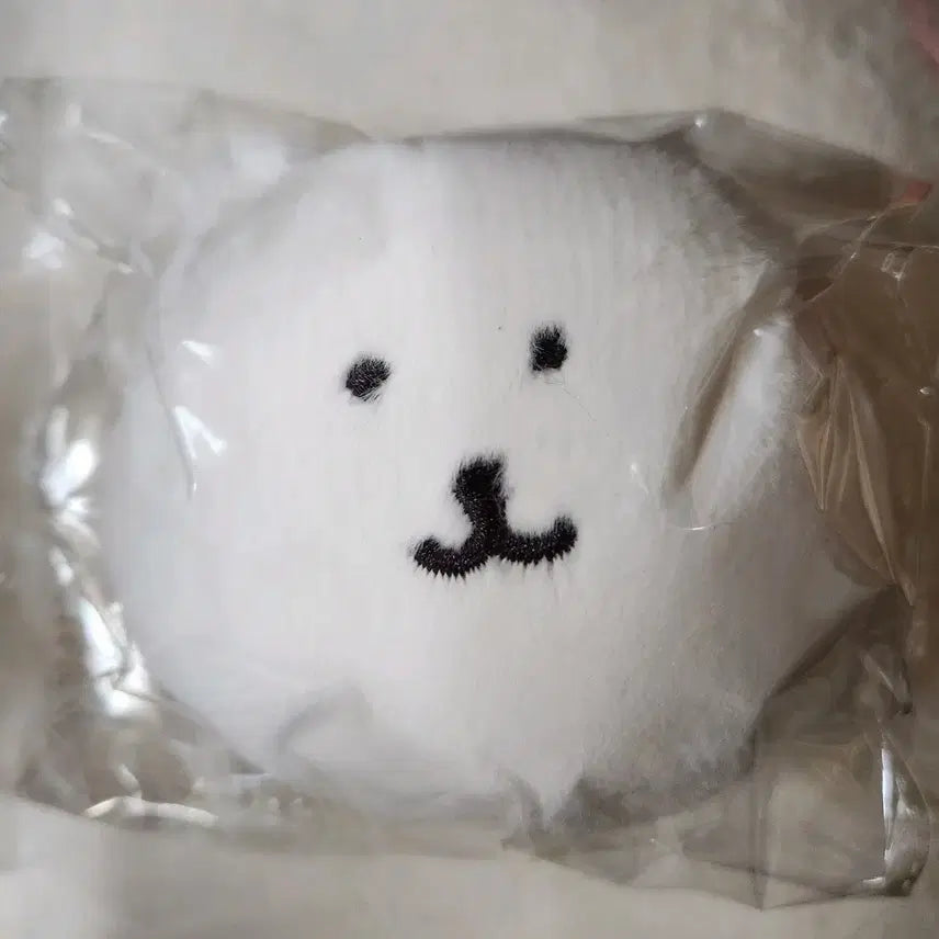 [BUNJANG] Nagano Pop-up Jokkongbear Kuji &