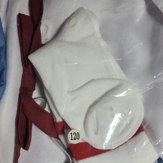 [BUNJANG] Evangelion School Uniform Cosplay Outfit (Rei/Asuka) / 에반게리온 교복 코스프레 의상 판매(레이/아스카)