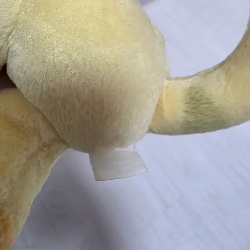 [SOLD OUT] 고전 얌 인형 화이트 엔젤 인형 중형 누이