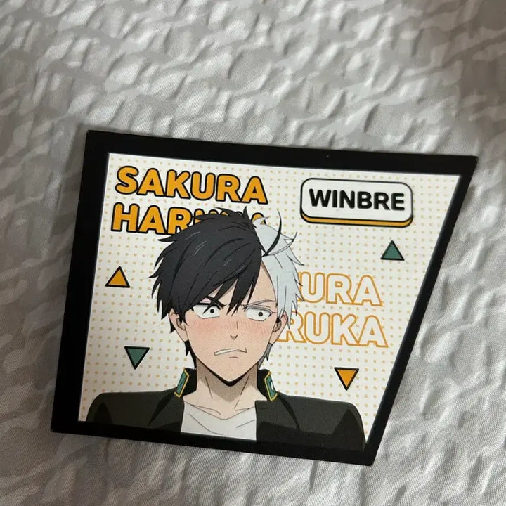 [BUNJANG] Winbre Sakura Look Up Figure / 윈브레 사쿠라 룩업 (방석포함)