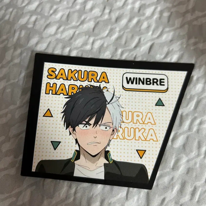 [BUNJANG] Winbre Sakura Look Up Figure / 윈브레 사쿠라 룩업 (방석포함)