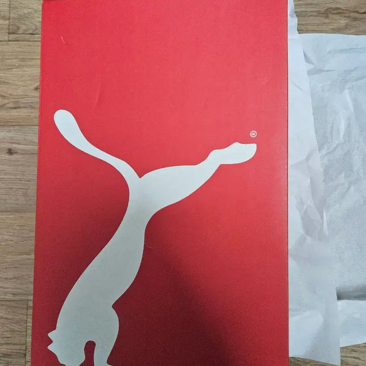 [BUNJANG] Puma Fast-Track Nitro 3 Trail Running Shoes - 290mm, New / 푸마 패스트트랙 나이트로3 290 새상품