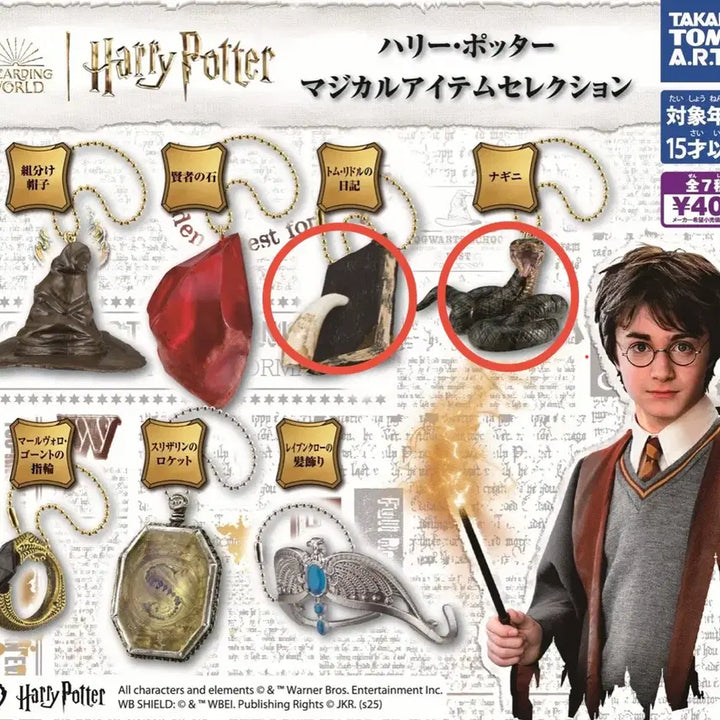 [BUNJANG] Harry Potter Deathly Hallows Tom Riddle Diary Nagini Bundle Set / 미개봉) 해리포터 죽음의성물 톰리들 일기장 내기니 일괄