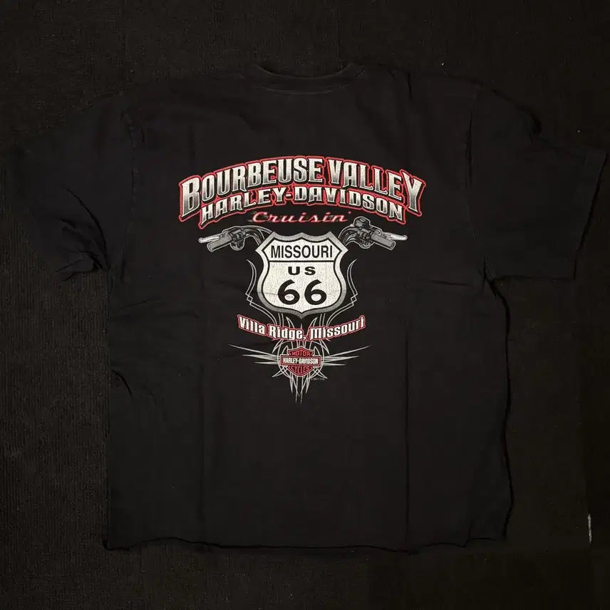 [BUNJANG] Harley-Davidson Short-Sleeve T-Shirt / [L] 할리 데이비슨 반팔 티셔츠