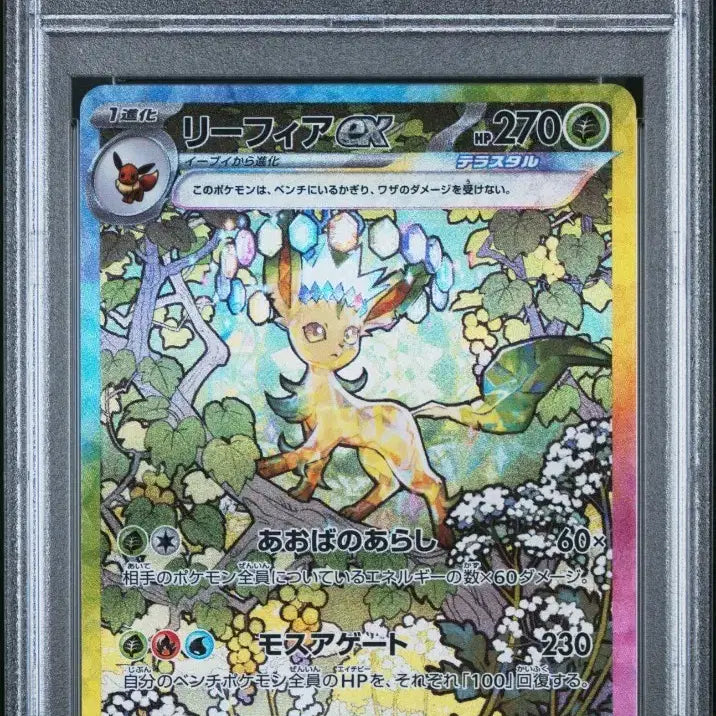 [BUNJANG] Pokemon Card Japanese Leafeon PSA 9 / 포켓몬카드 일판 리피아  PSA9
