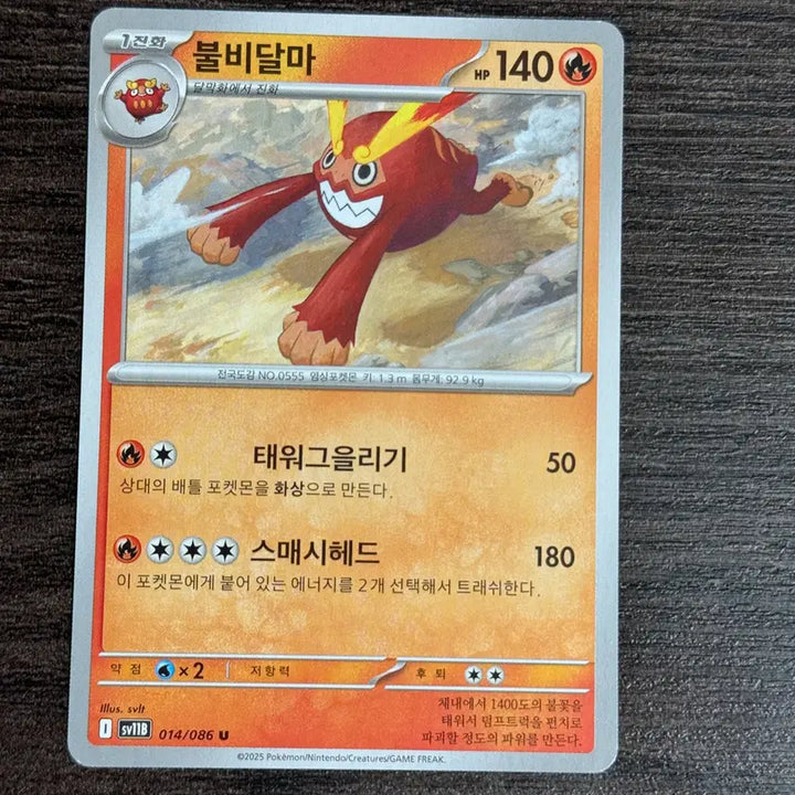 [BUNJANG] Pokemon Darmanitan Trading Card / 포켓몬카드 불비달마 판매