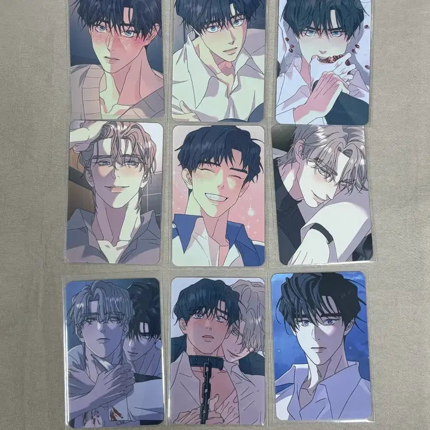 [BUNJANG] Rootless Tree (Ppuri Eomneun Namu) Collection Photocard Bundle Set / 뿌리없는나무 뿌없나 컬포 포카 포토카드 일괄