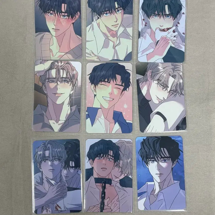 [BUNJANG] Rootless Tree (Ppuri Eomneun Namu) Collection Photocard Bundle Set / 뿌리없는나무 뿌없나 컬포 포카 포토카드 일괄