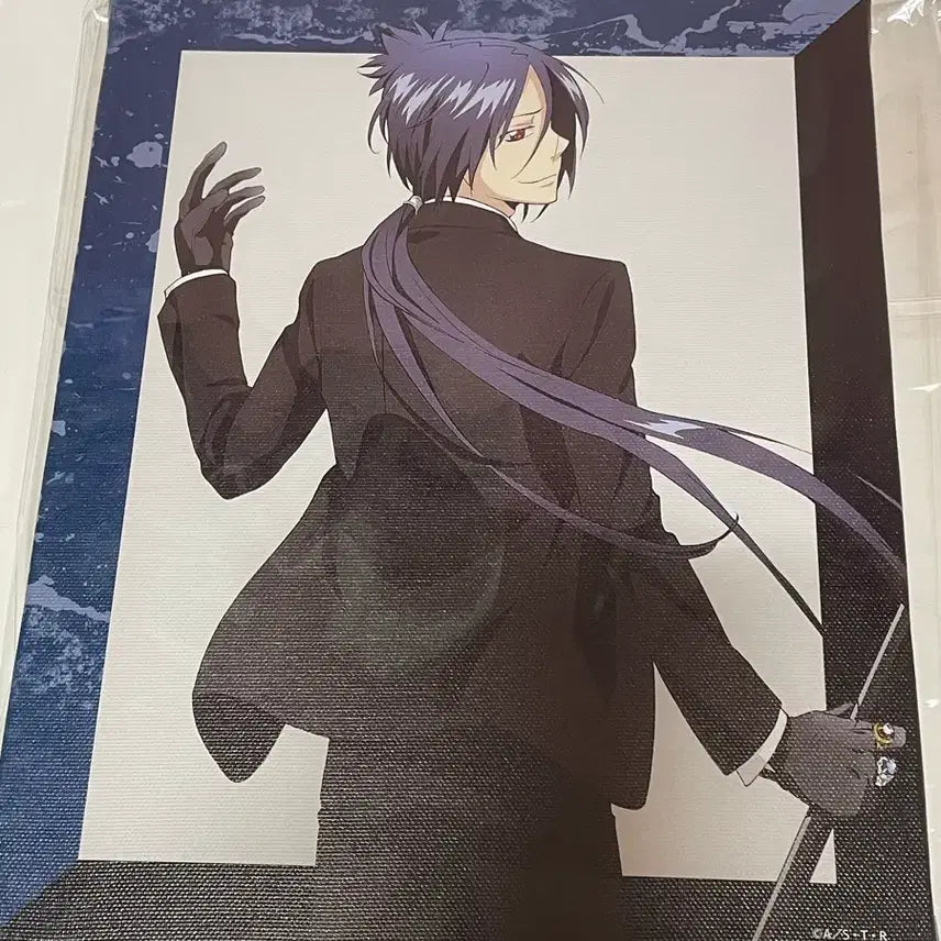 [BUNJANG] KHR Mukuro 10 Years Later Canvas Board / 가히리 무쿠로 10년후 캠버스보드(쿠지메이트 싸우는 뒷모습ver)