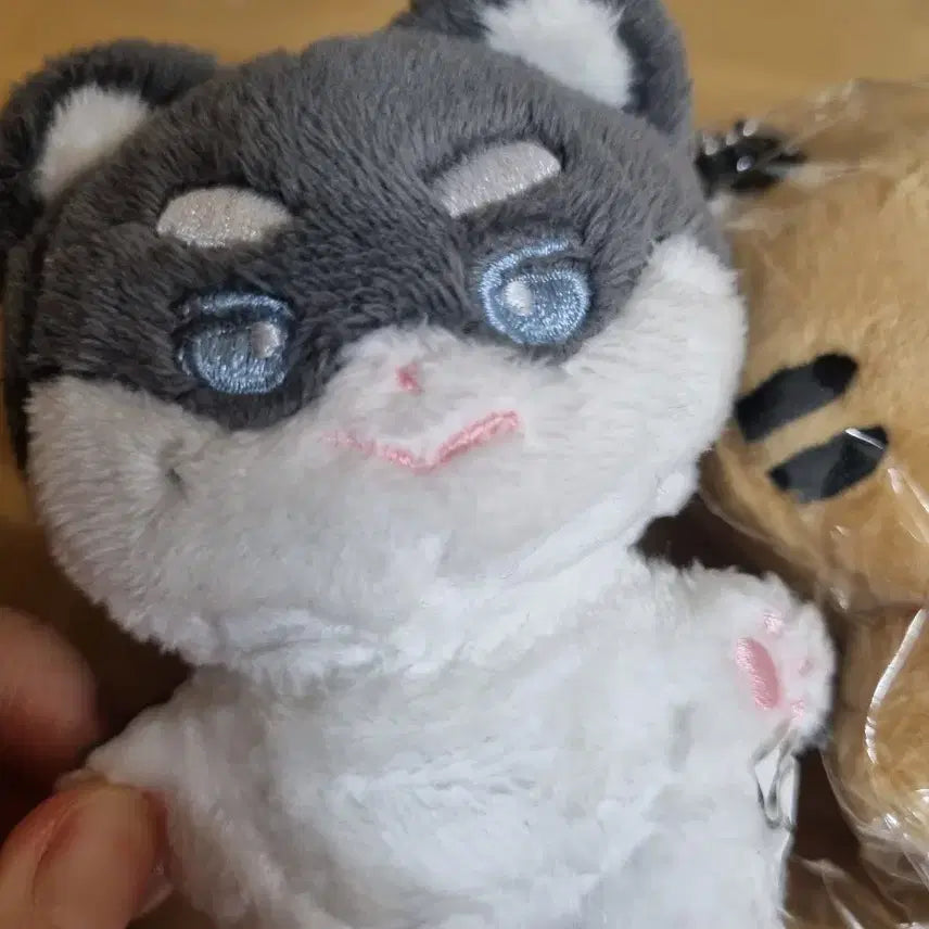 [BUNJANG] ZEROBASEONE ZB1 Park Gunwook Doll &