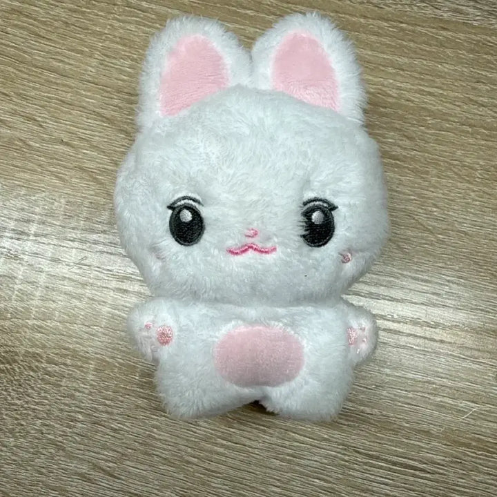 [BUNJANG] Kim Ji Won Doll / 배우 김지원님 인형 토딩이 판매
