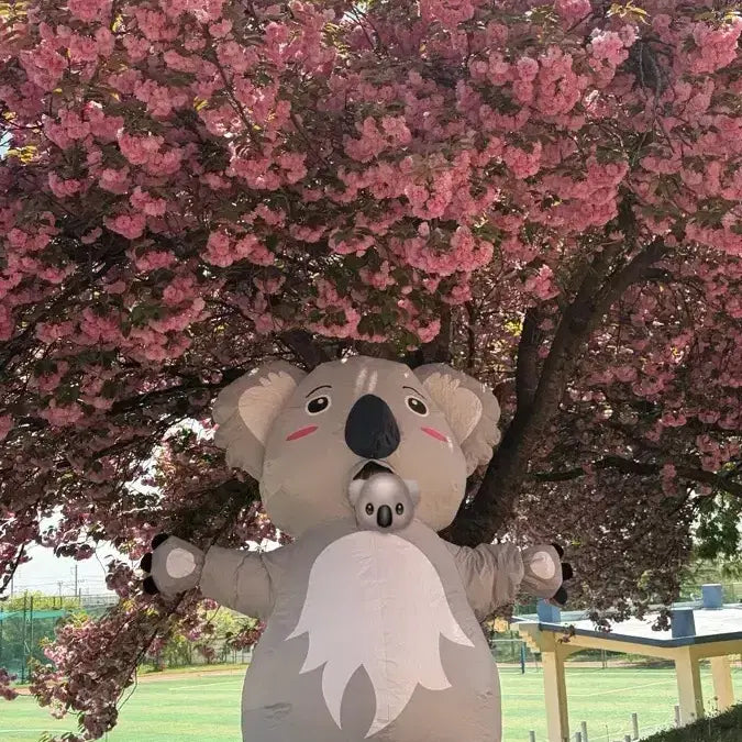 [BUNJANG] Koala Airsuit Costume Rental / 코알라 에어슈트