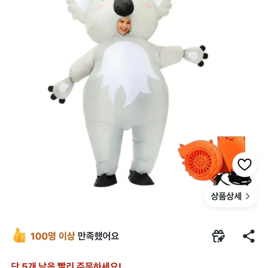 [BUNJANG] Koala Airsuit Costume Rental / 코알라 에어슈트