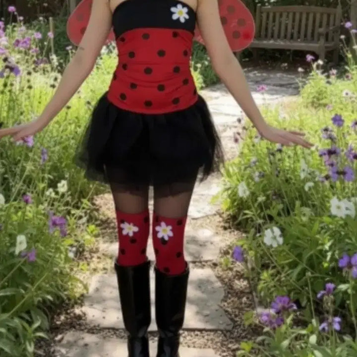 [BUNJANG] Ladybug Costume Full Set for Photoshoot / [대여/판매]레이디버그 코스튬 의상 풀세트 졸업사진