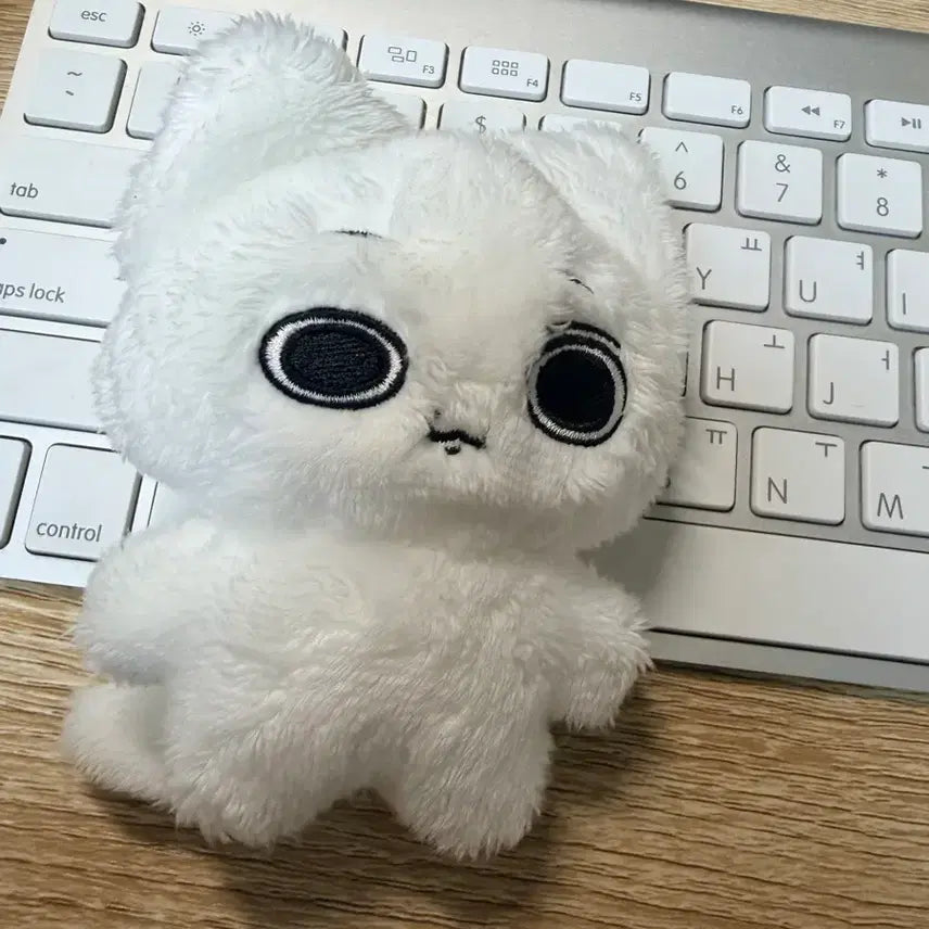 [SOLD OUT] 보넥도 비공굿 성호 비대칭 성호 판매