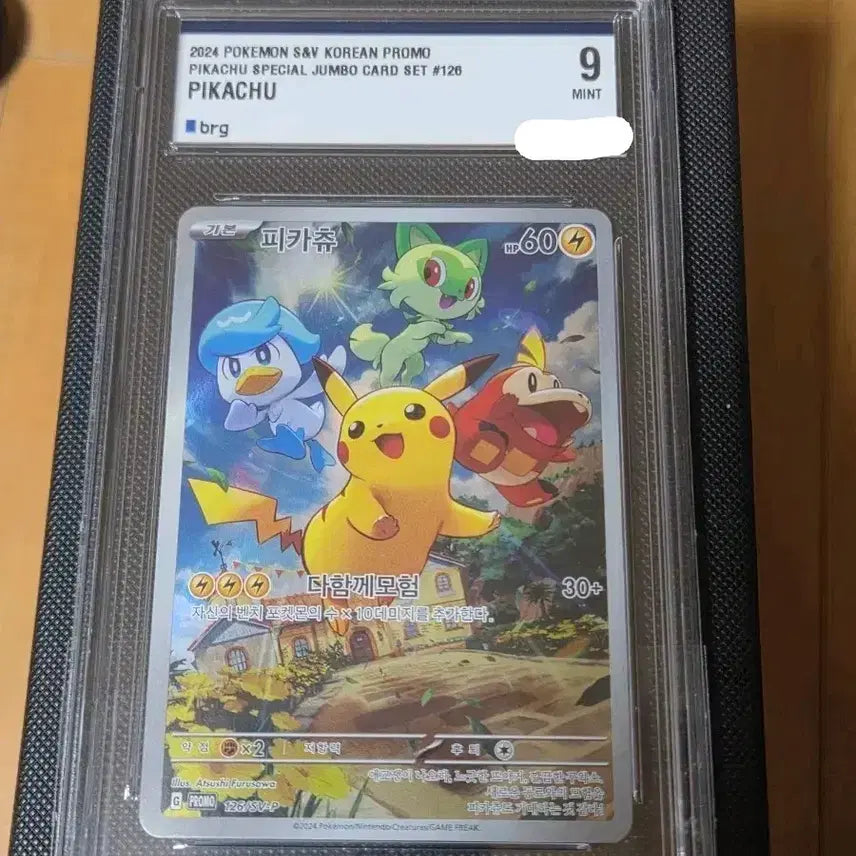 [BUNJANG] Pokemon Pikachu Jumbo Card Set / 포켓몬 피카츄  카드 126/50 brg9