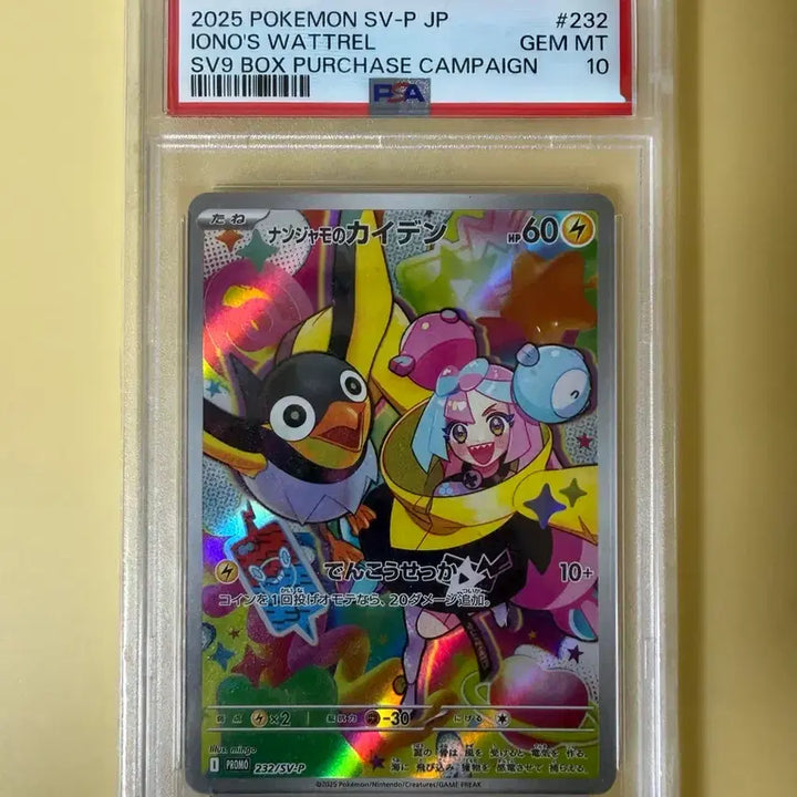 [BUNJANG] Pokemon Mamo Promo Japanese PSA 10 Card / 포켓몬카드 모야모 프로모 일판 PSA10
