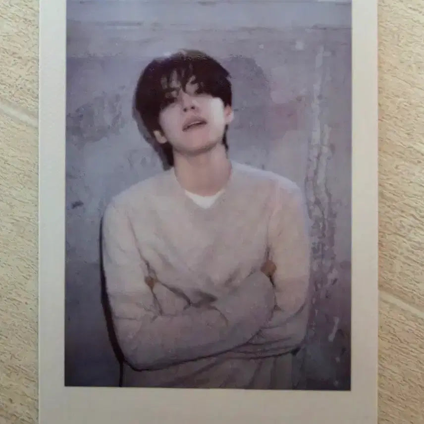 [BUNJANG] Day6 Wonpil Photocard / 데이식스 원필 폴라