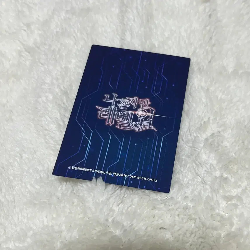 [BUNJANG] Solo Leveling Webtoon Card Photocard / 나혼렙 웹툰 카드 포카
