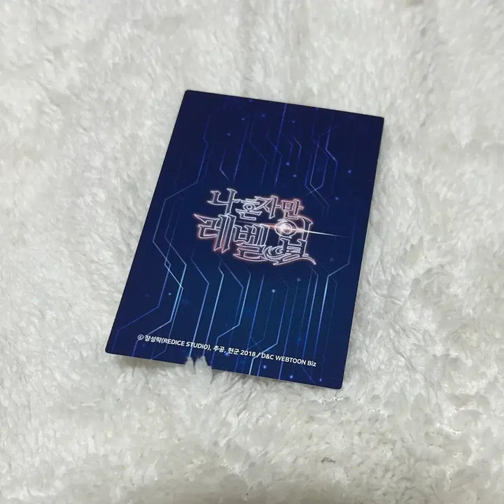 [BUNJANG] Solo Leveling Webtoon Card Photocard / 나혼렙 웹툰 카드 포카
