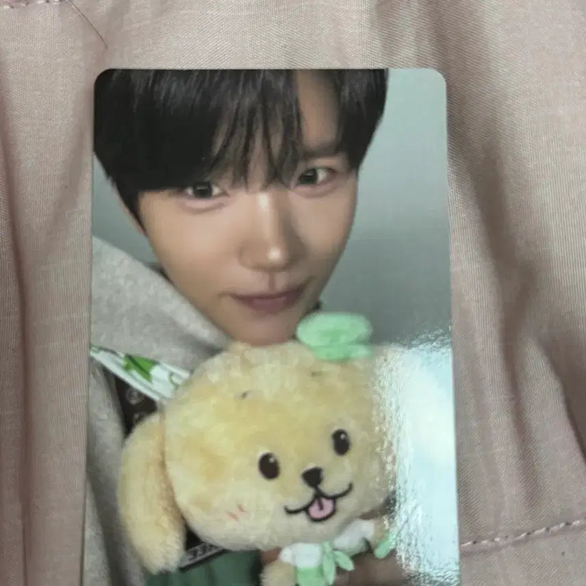 [SOLD OUT] 엔시티 위시 베이커리 팝업 트레카 포토카드 포카 재희 세트 일괄