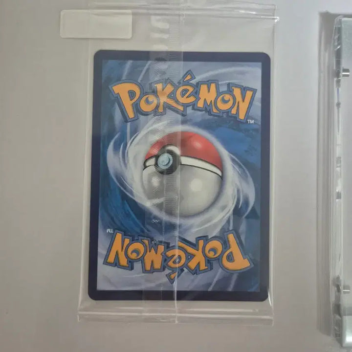 [BUNJANG] Pokemon Card 30th Anniversary First Partner Squirtle / 포켓몬카드 중판 30주년 퍼스트파트너 꼬부기