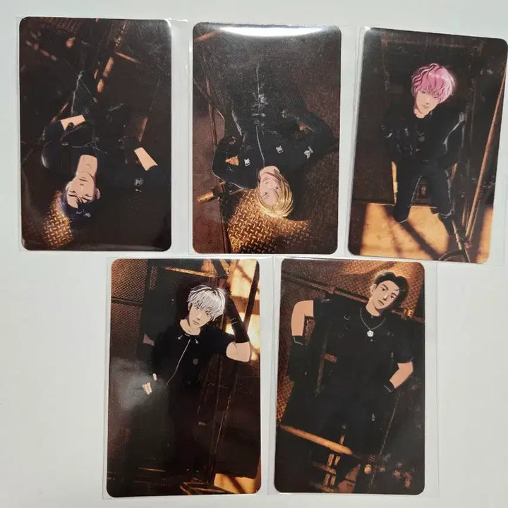 [SOLD OUT] 일괄)플레이브 아스테룸 십카페 럭드 포카 6차 칼리고2