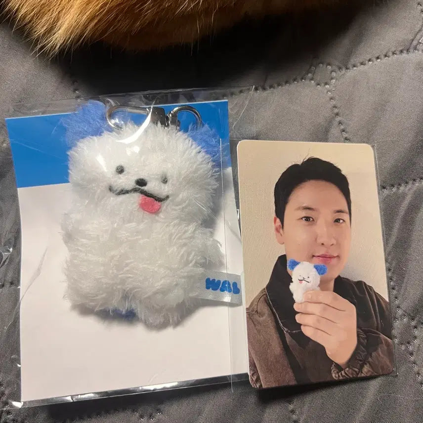 [SOLD OUT] 루시 왈이 키링 특전 포카 광일 인형