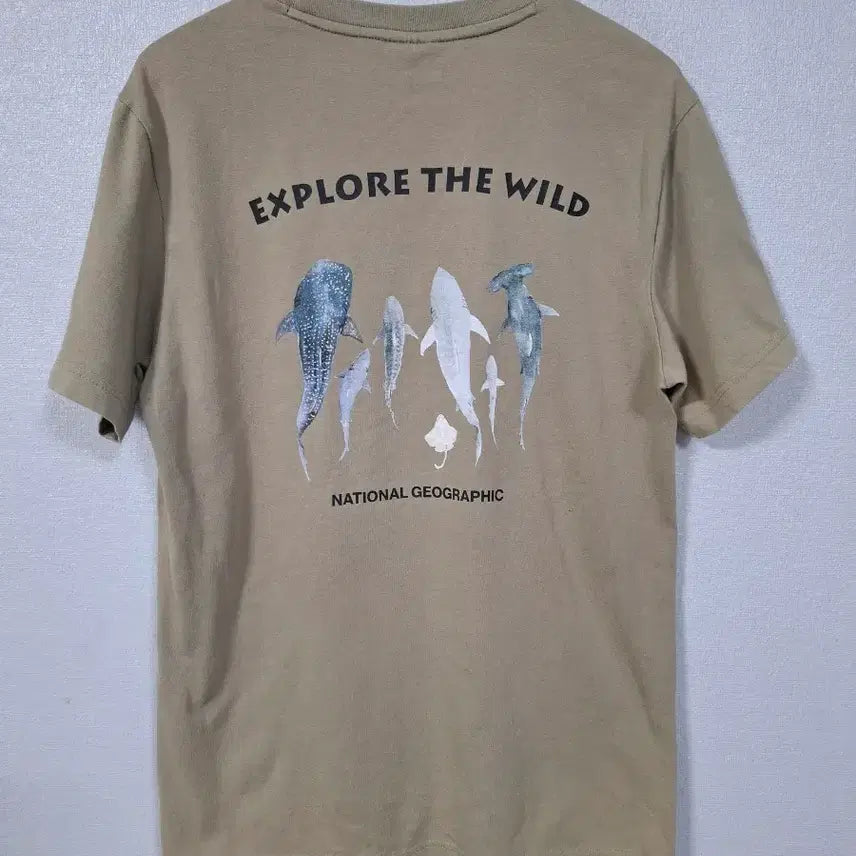 [BUNJANG] National Geographic Short Sleeve T-shirt (M) / 내셔널지오그래픽 반팔티 M