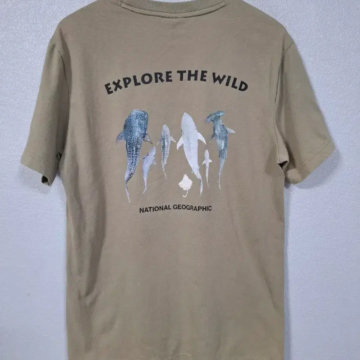 [BUNJANG] National Geographic Short Sleeve T-shirt (M) / 내셔널지오그래픽 반팔티 M