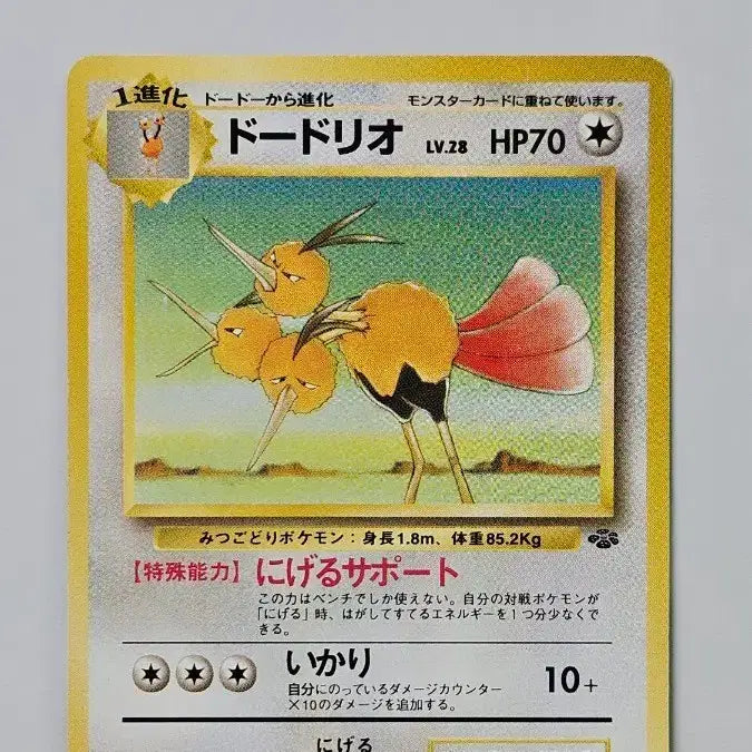 [BUNJANG] Vintage Pokemon Card Dodrio / 고전 포켓몬 카드 두트리오