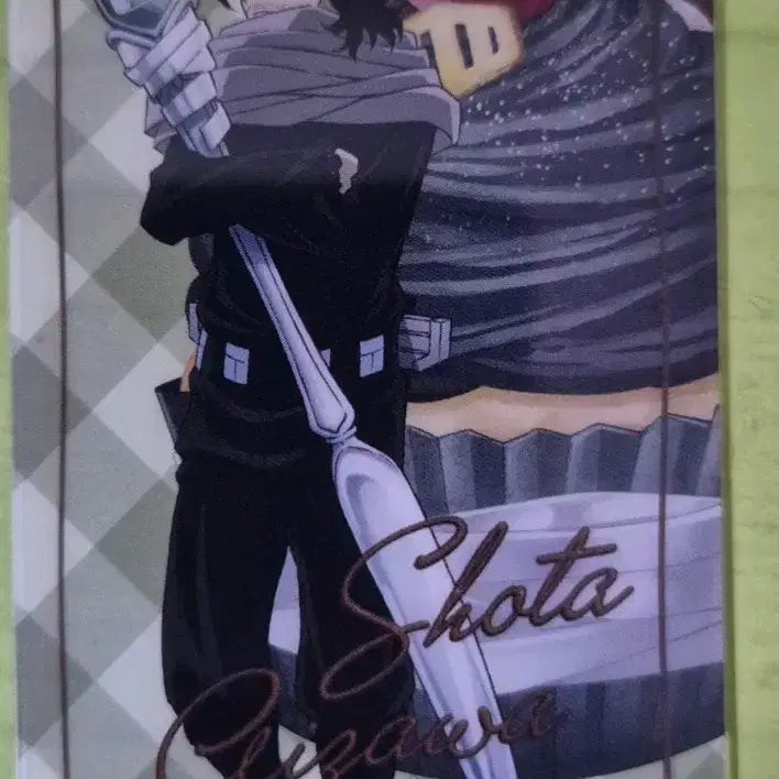 [BUNJANG] My Hero Academia Aizawa Shota Card / 나의 히어로 아카데미아 아이자와 쇼타 카드