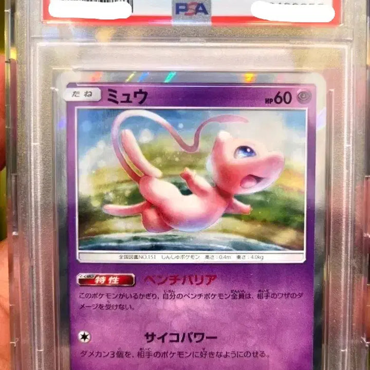 [BUNJANG] PSA 10 Mew Holo Double Blaze Japanese Premium Collectible Card / [PSA10]뮤 홀로 더블블레이즈 일본판  프리미엄 수집 카드