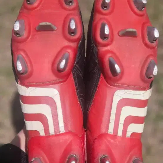 [BUNJANG] Adidas Predator Mania SG XTRX Football Boots / 아디다스 프레데터 매니아 SG XTRX  [270]