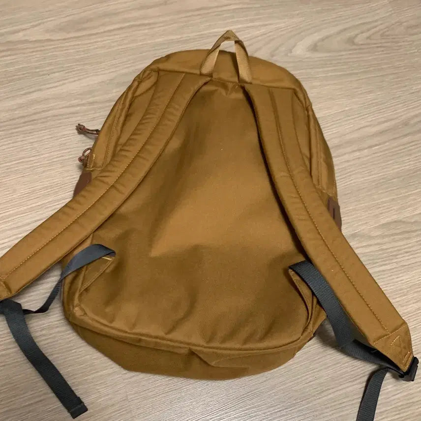 [BUNJANG] Patagonia Ironwood Backpack 20L / 파타고니아 아이언우드 백팩 20L