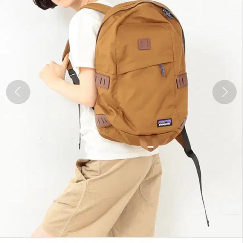 [BUNJANG] Patagonia Ironwood Backpack 20L / 파타고니아 아이언우드 백팩 20L