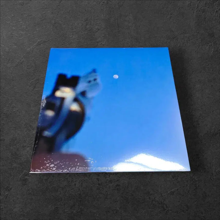 [SOLD OUT] 기스 Geese - LP 바이닐 음반