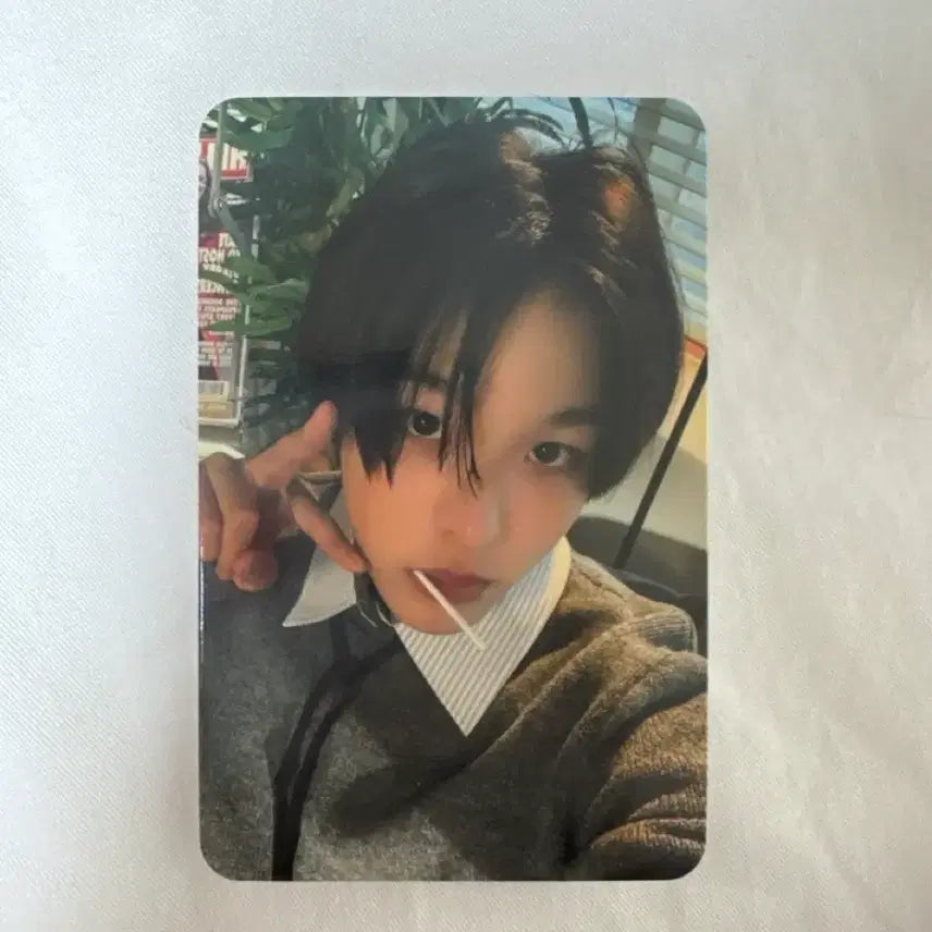 [BUNJANG] NCT Wish Riku Music Korea POB Photocard / 이번주만) nct wish 리쿠 뮤직코리아 뮤코 미공포 포카 엔시티 위시