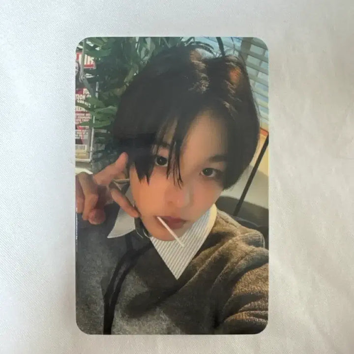 [BUNJANG] NCT Wish Riku Music Korea POB Photocard / 이번주만) nct wish 리쿠 뮤직코리아 뮤코 미공포 포카 엔시티 위시